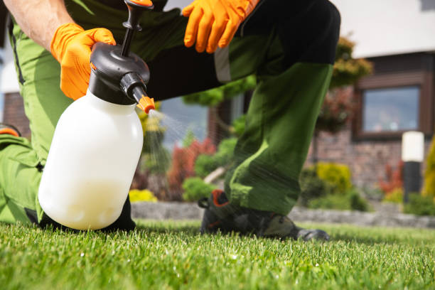 Best Mosquito Control Services  in Montpelier, IN