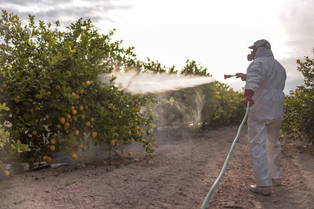 Best Affordable Pest Control Services  in Montpelier, IN