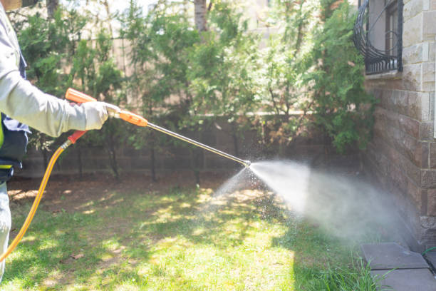 Flea Control Services in Montpelier, IN