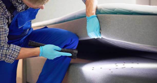 Best Pest Removal Services  in Montpelier, IN