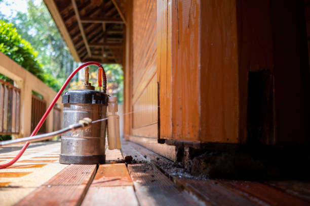 Best Affordable Pest Control Services  in Montpelier, IN