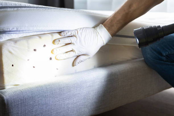 Best Bed Bug Extermination  in Montpelier, IN