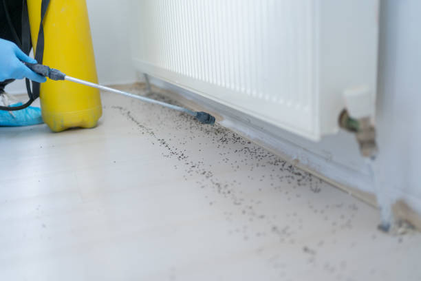 Best Termite Control Services  in Montpelier, IN